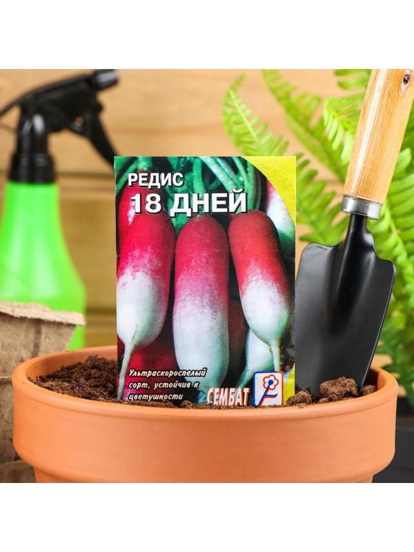 Семена Редис 