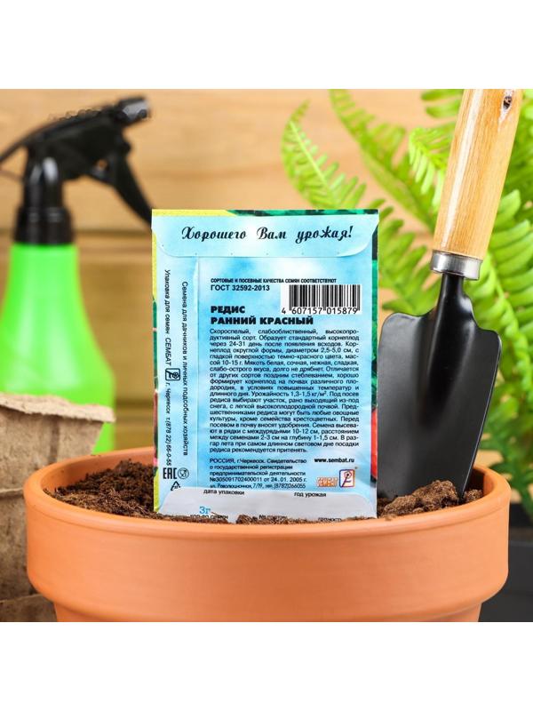 Семена Редис 