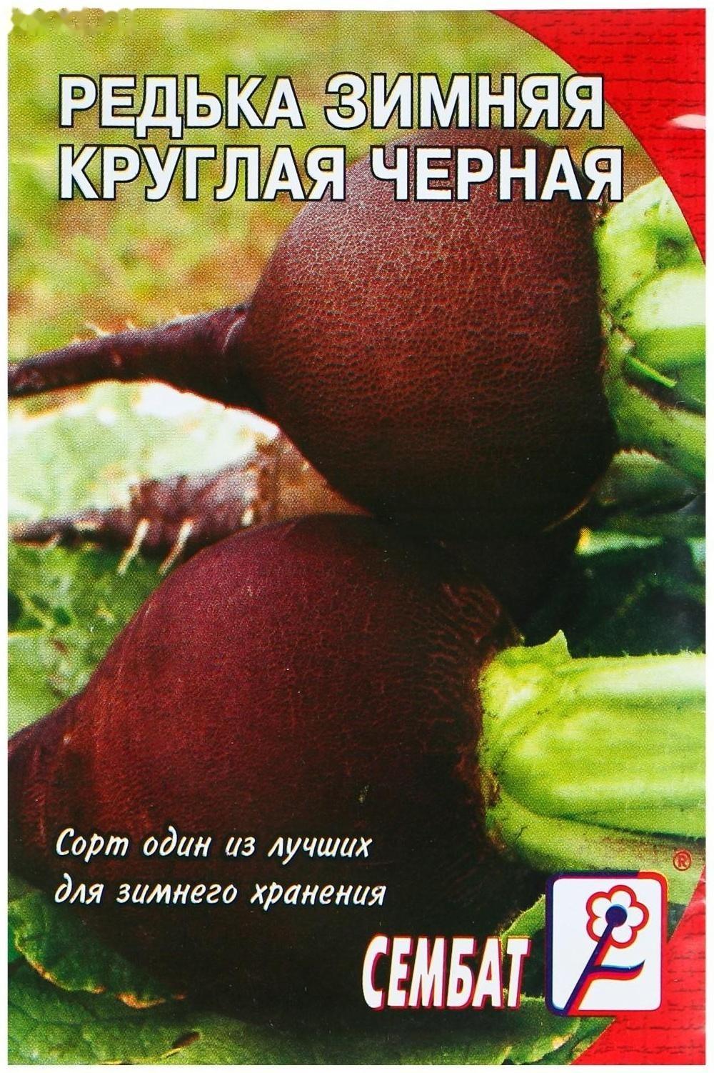 Семена Редька 