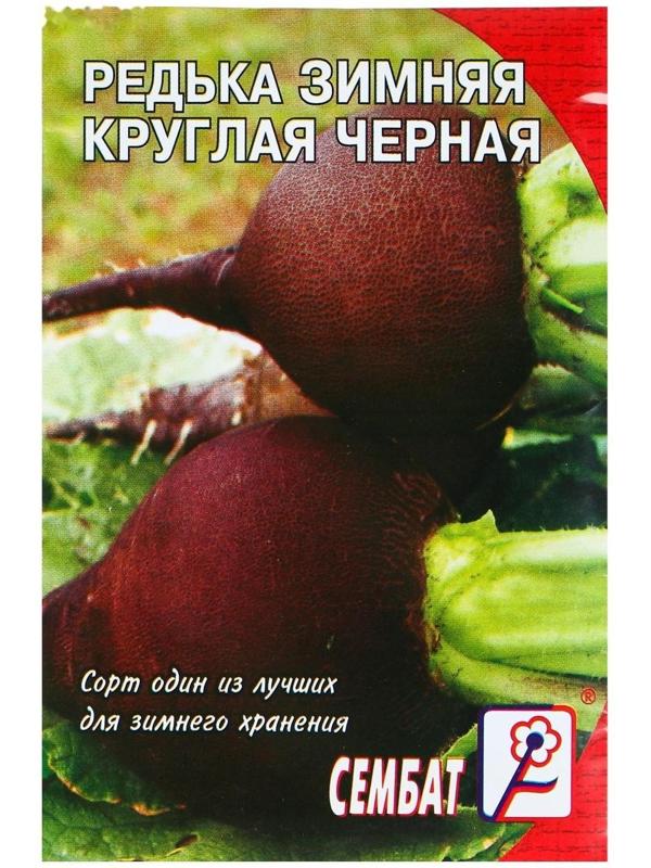 Семена Редька 