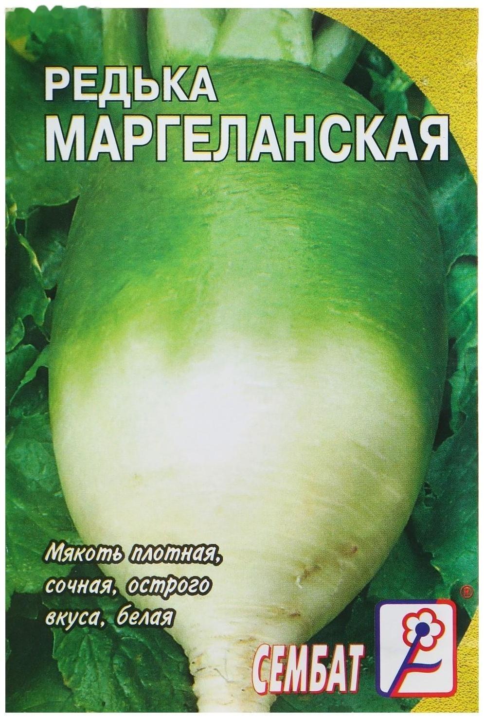 Семена Редька 