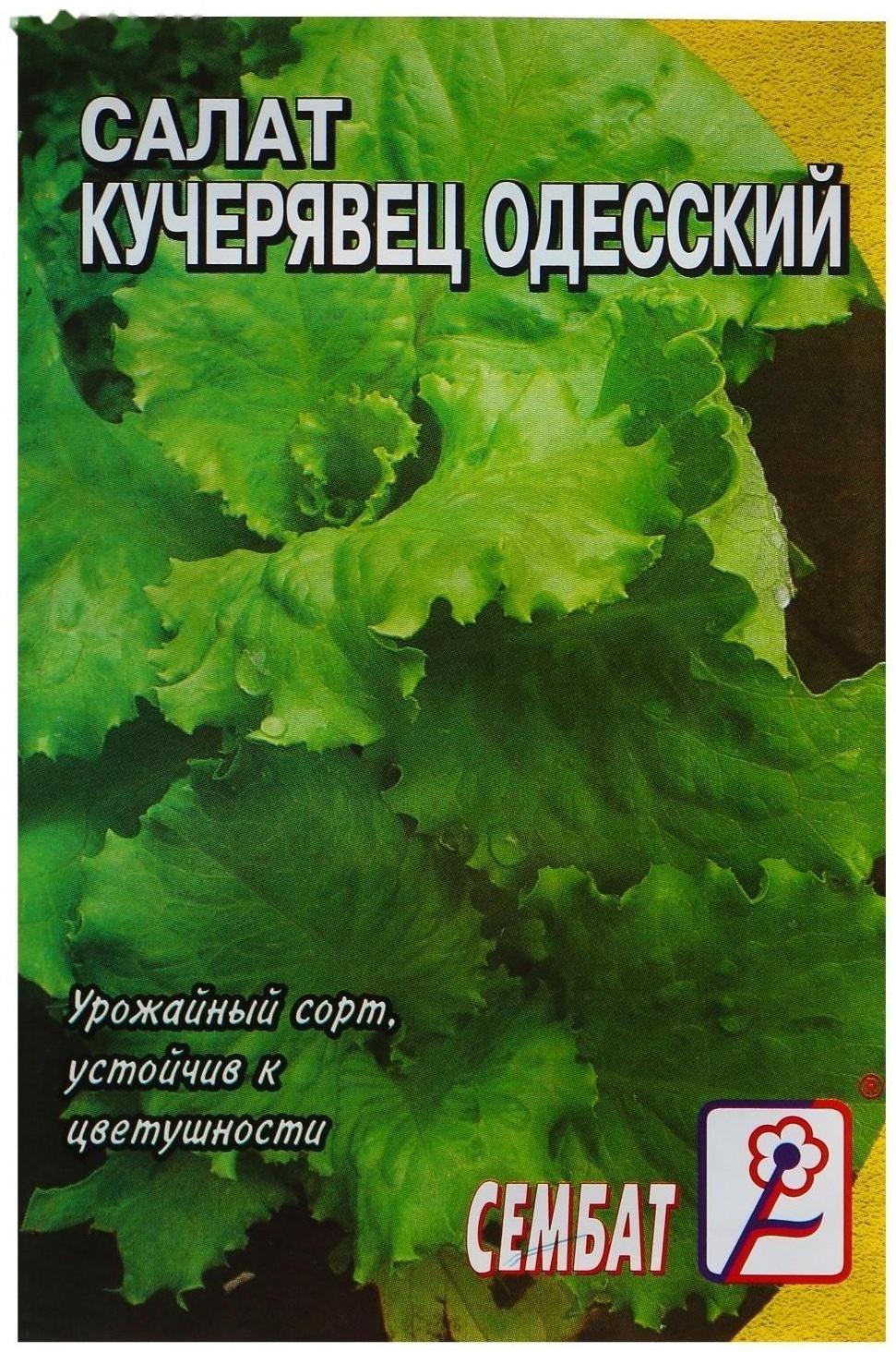 Семена Салат 