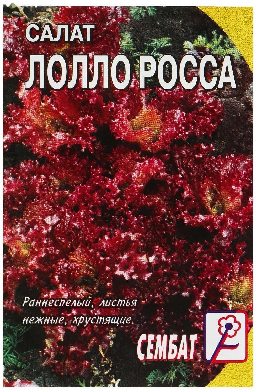 Семена Салат 