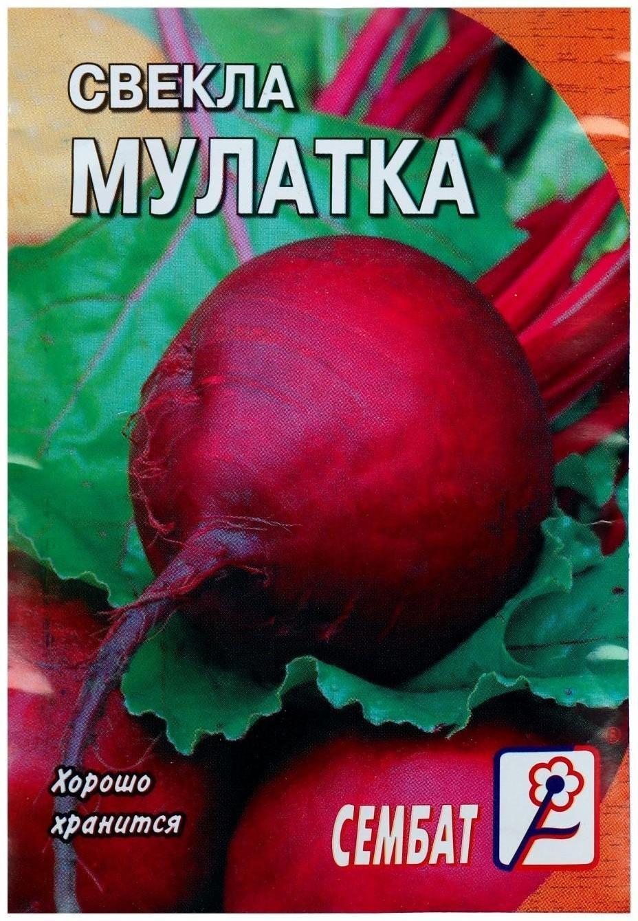 Семена Свекла 