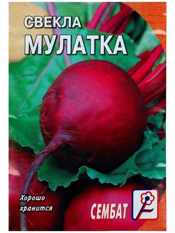 Семена Свекла 