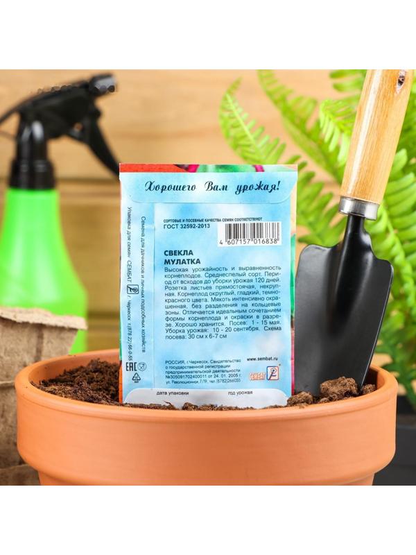 Семена Свекла 