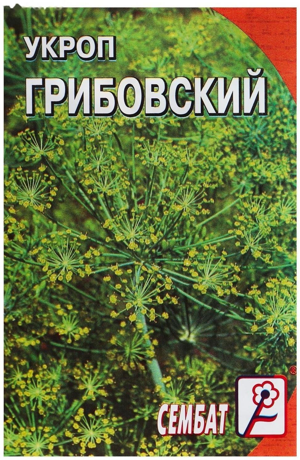 Семена Укроп 