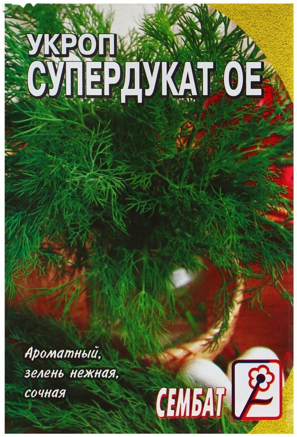 Семена Укроп 