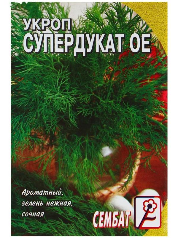 Семена Укроп 