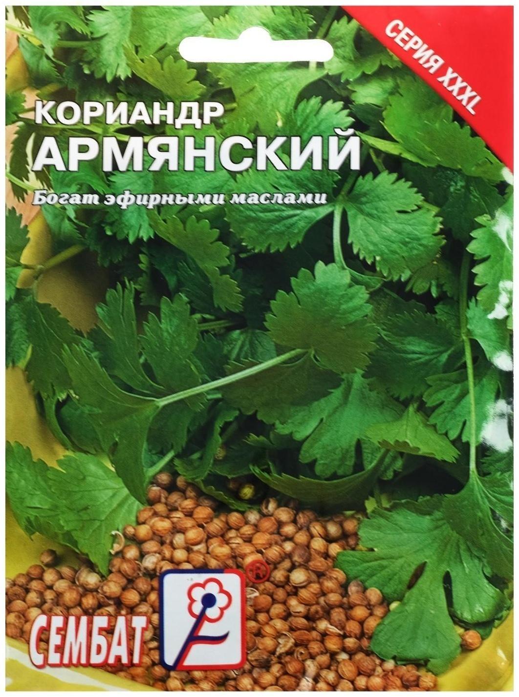 Семена ХХХL Кориандр 