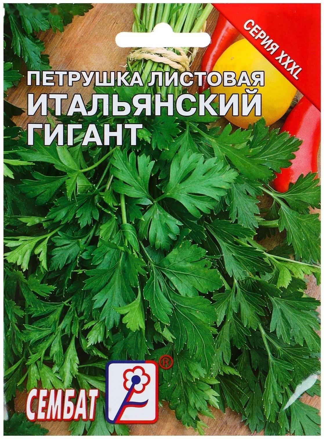 Семена ХХХL Петрушка 