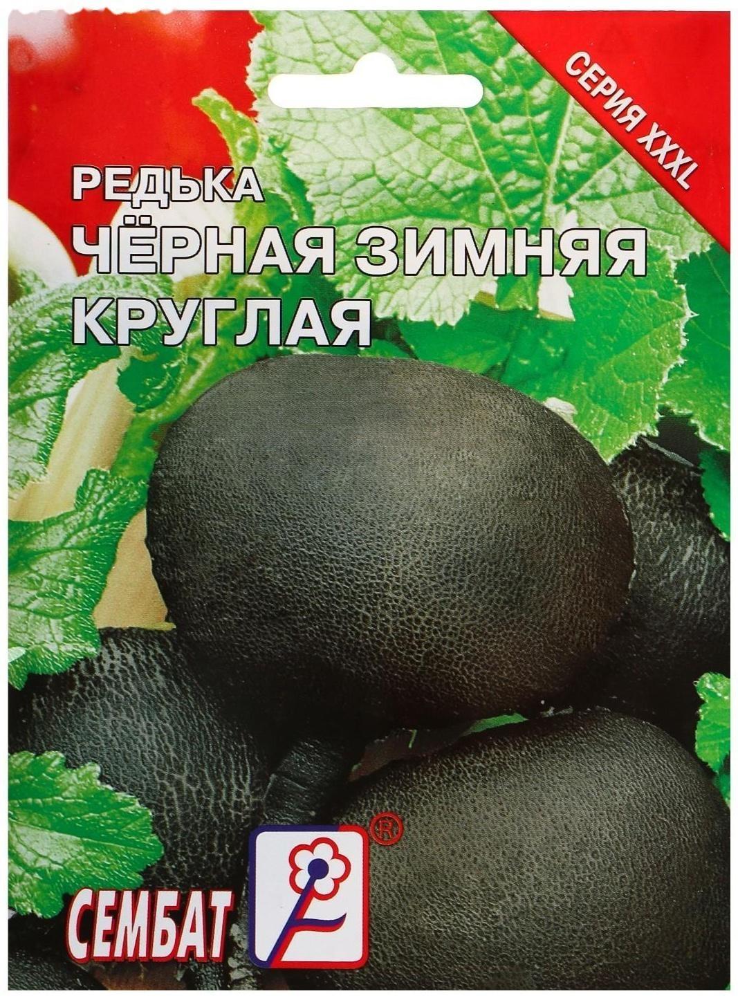 Семена ХХХL Редька Зимняя круглая черная, 10 г