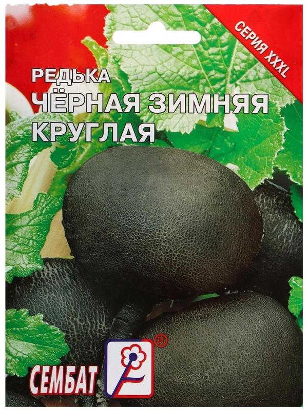 Семена ХХХL Редька Зимняя круглая черная, 10 г