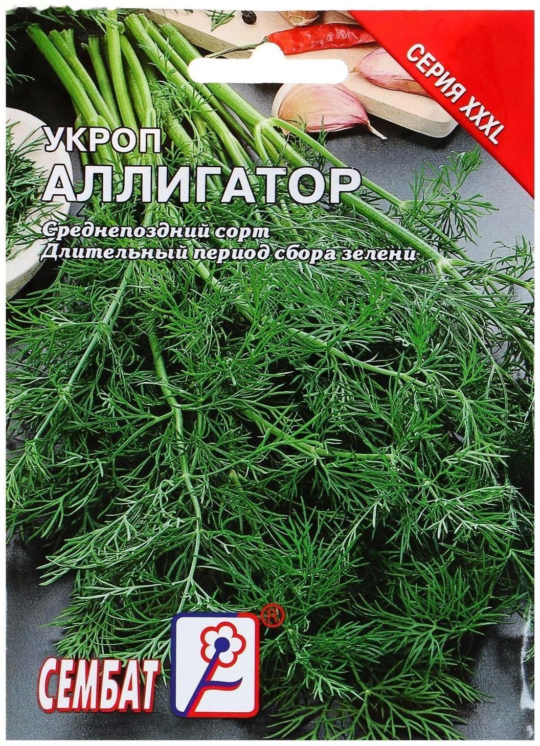 Семена ХХХL Укроп 