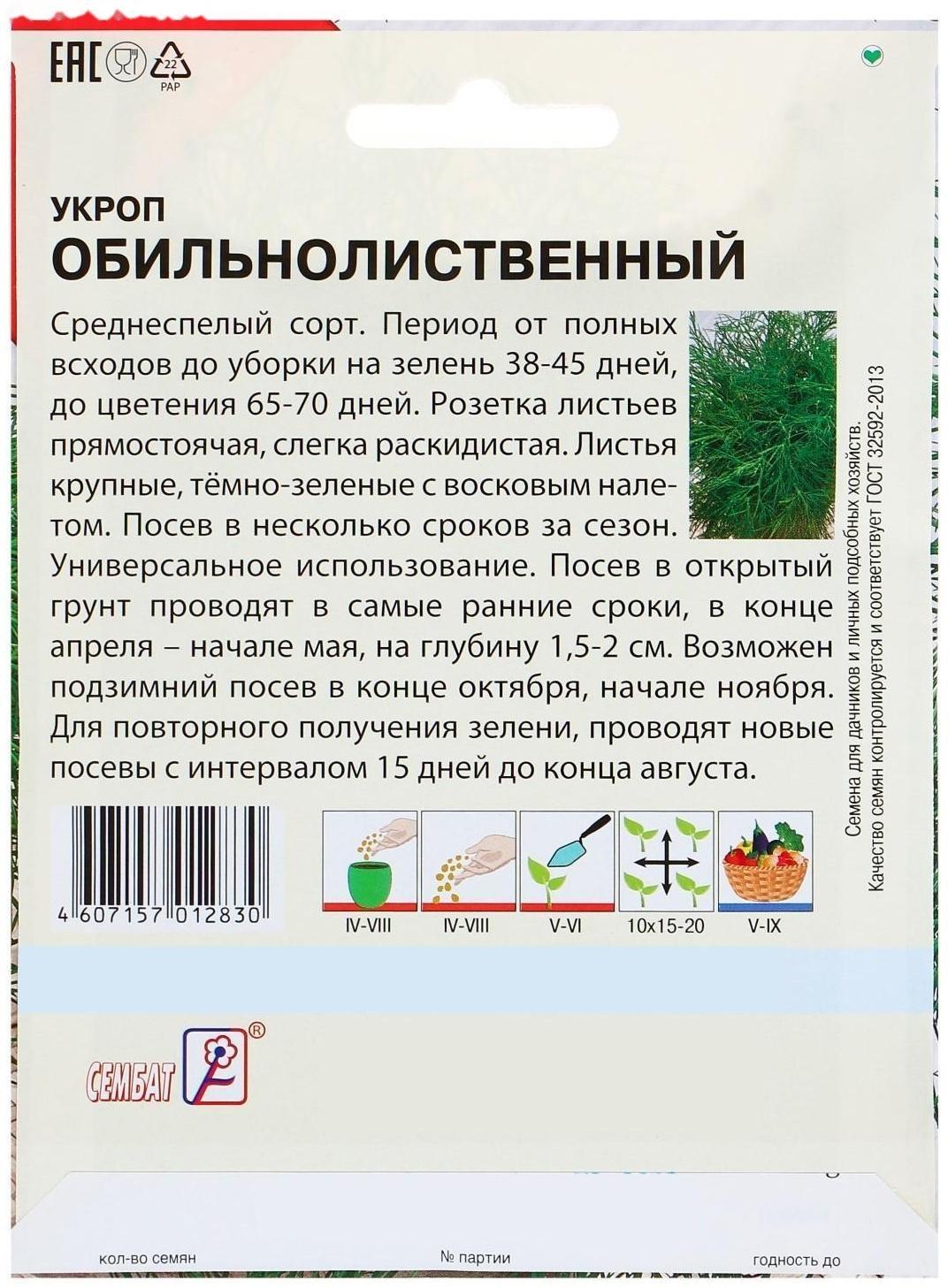 Семена ХХХL Укроп 