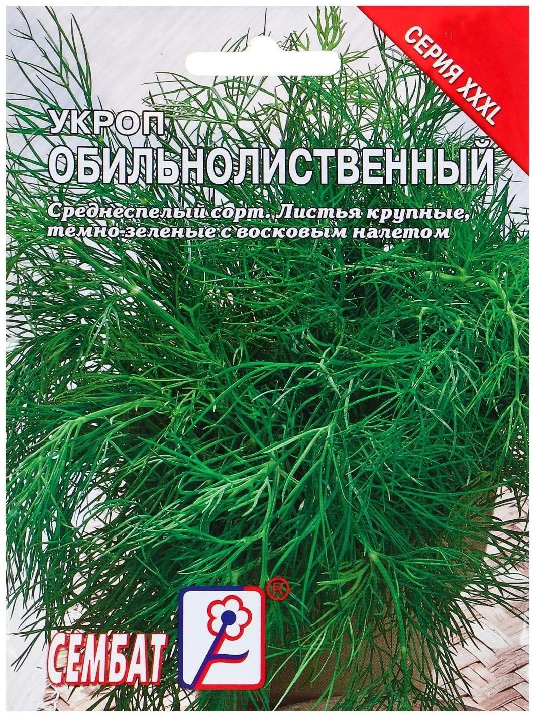 Семена ХХХL Укроп 