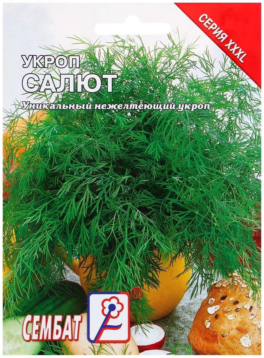 Семена ХХХL Укроп 