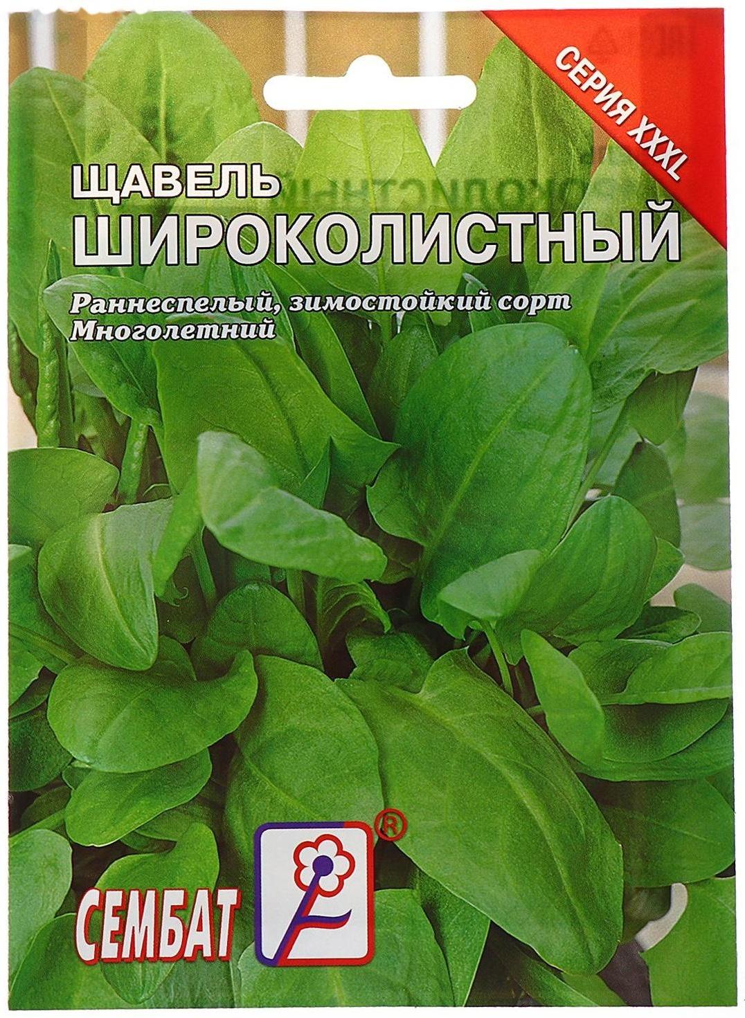 Семена ХХХL Щавель 