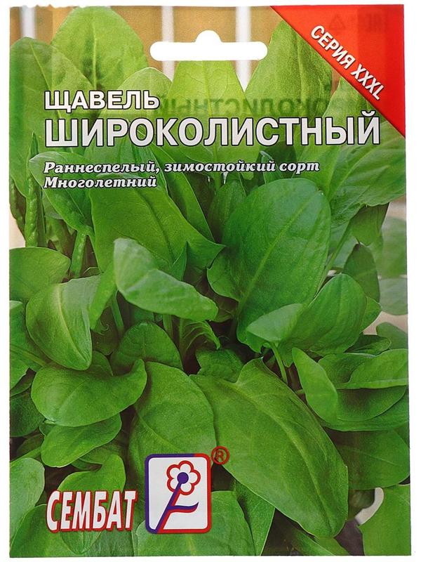 Семена ХХХL Щавель 