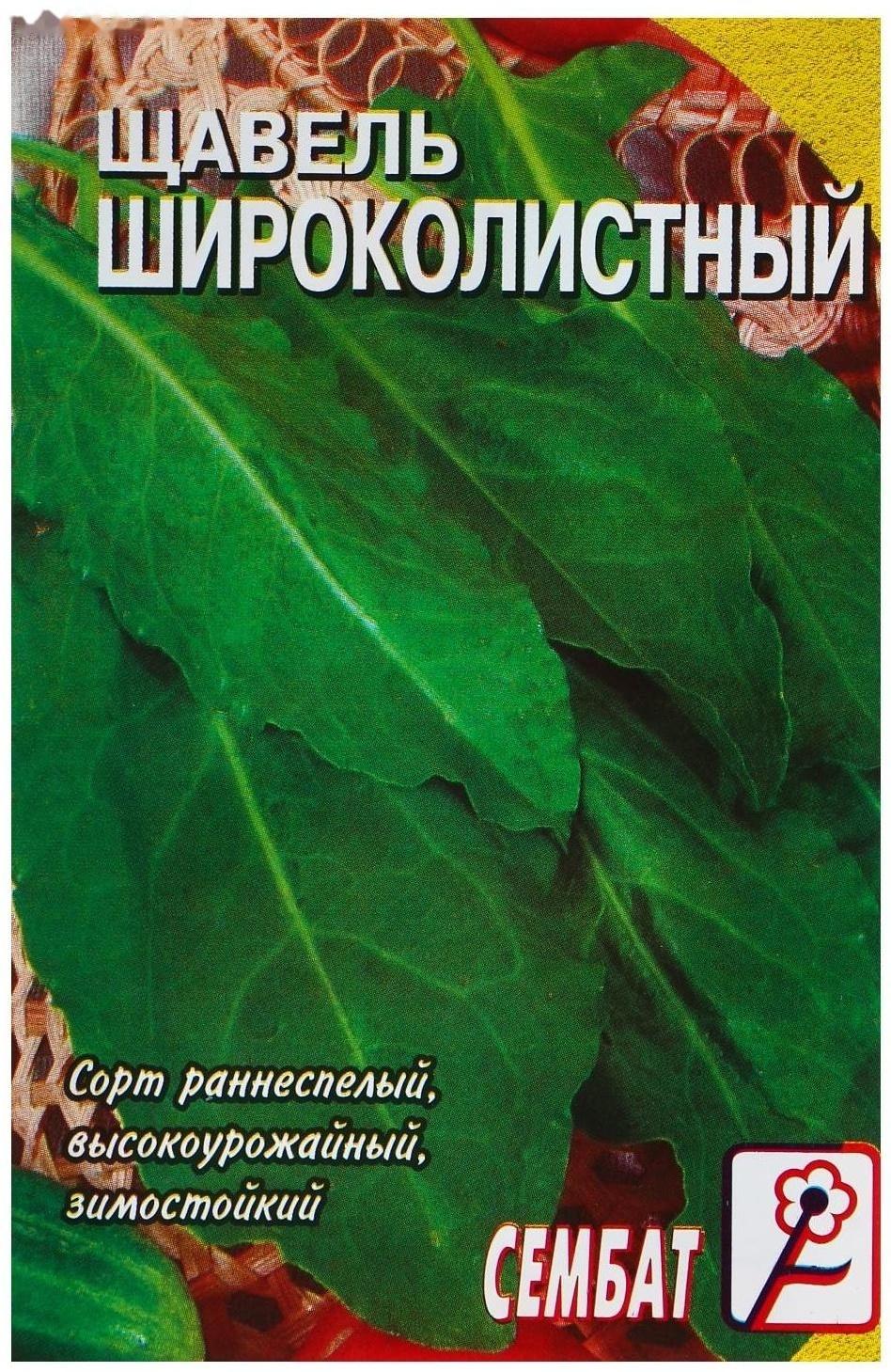 Семена Щавель 