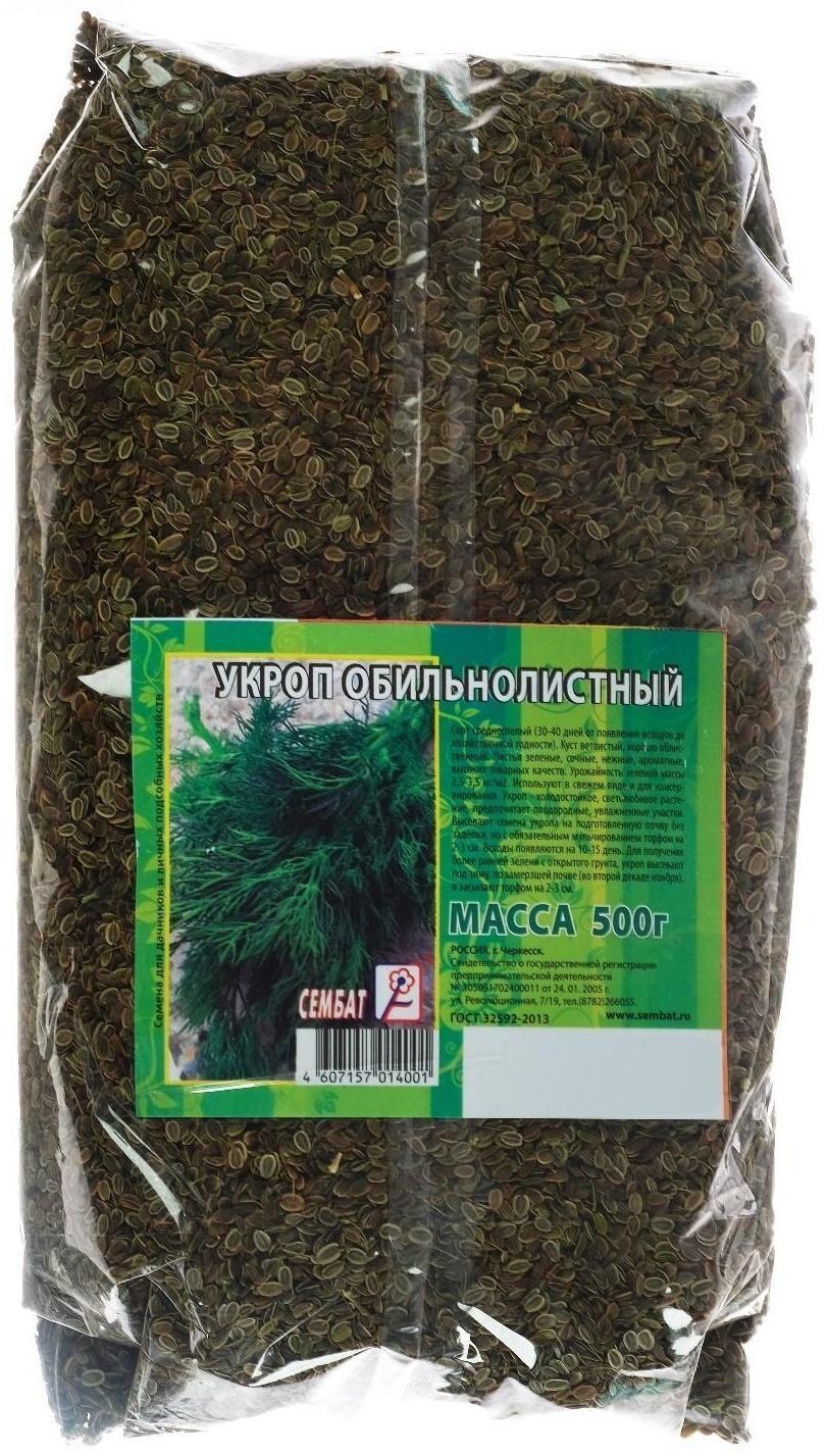 Семена Укроп 