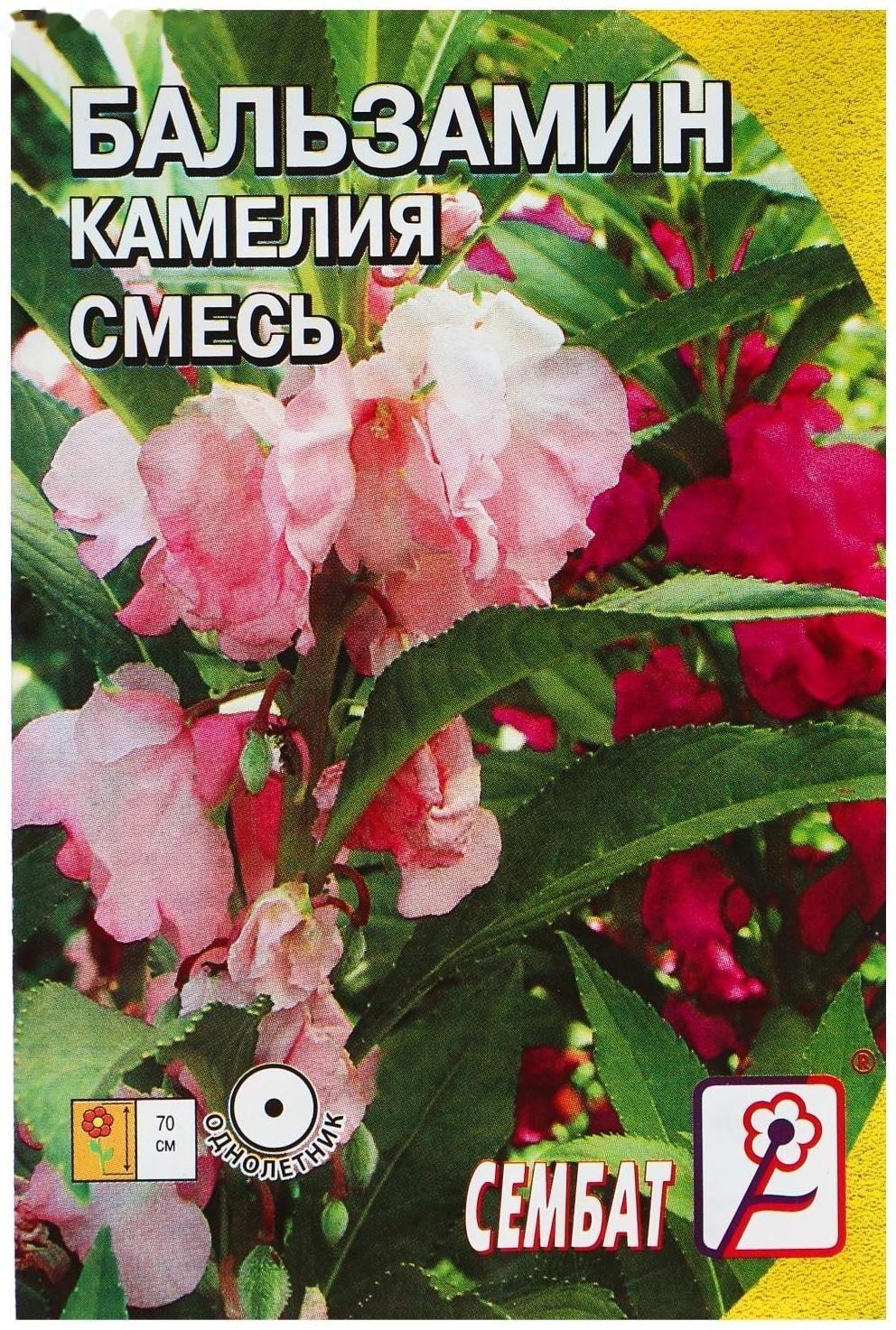 Семена цветов Бальзамин смесь 