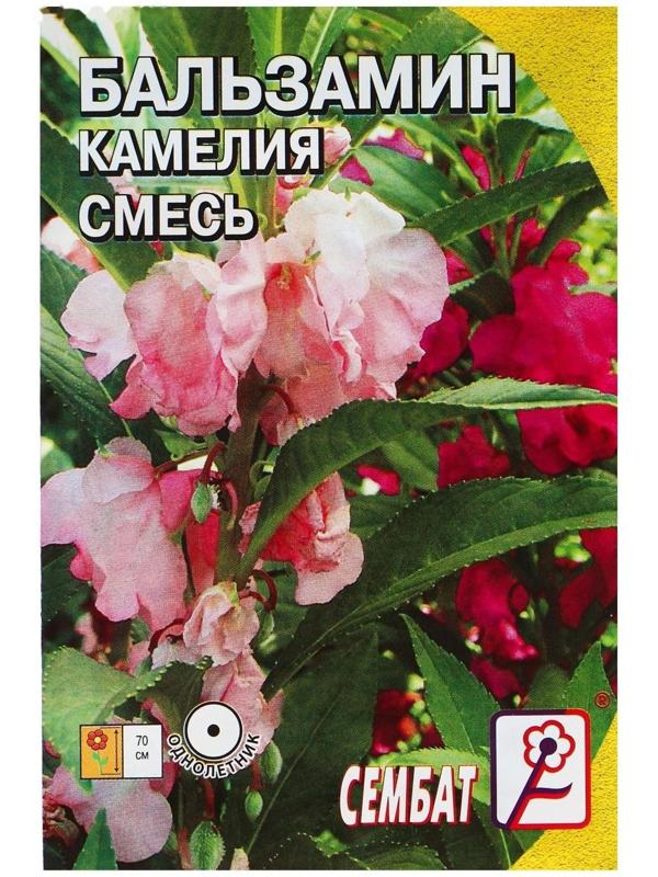 Семена цветов Бальзамин смесь 