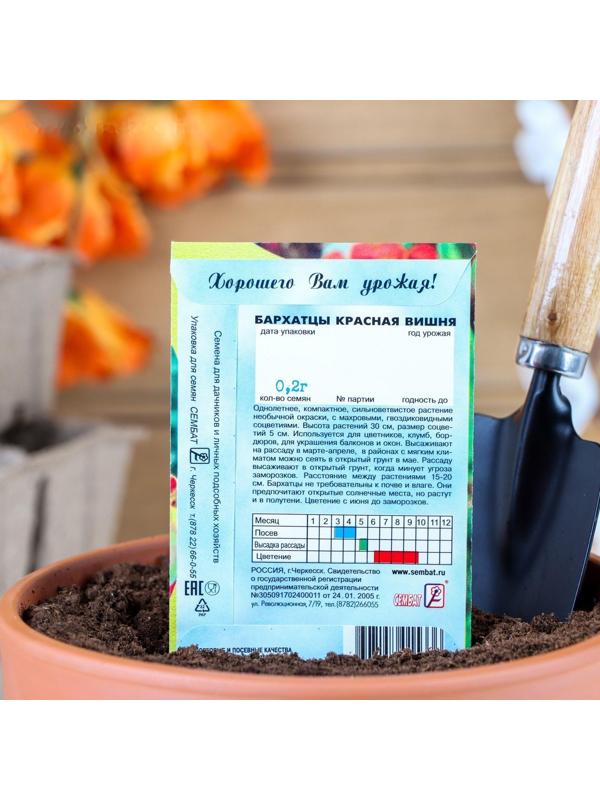 Семена цветов Бархатцы 