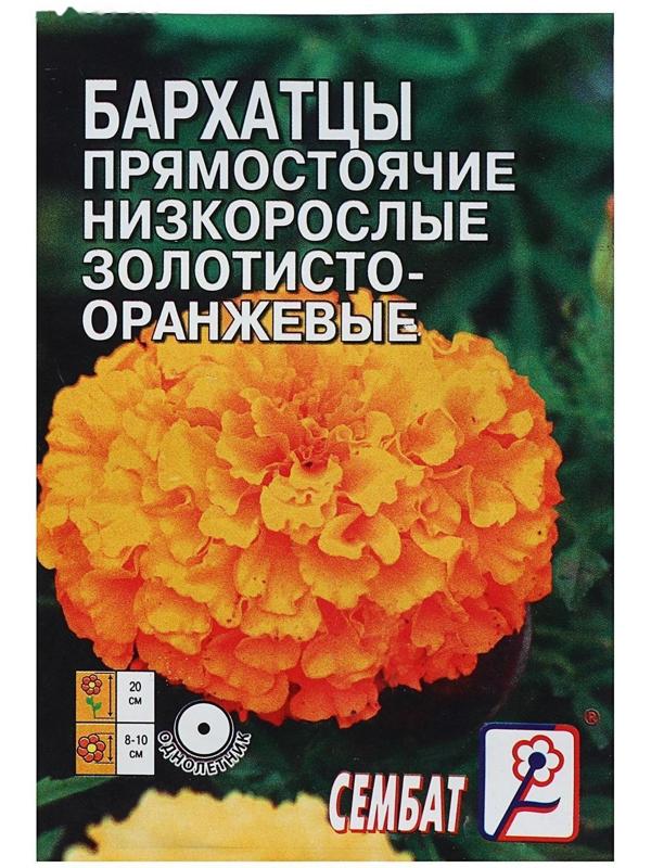 Семена цветов Бархатцы прямостоячий низкорослый золотисто-оранжевый, О, 0,1 г