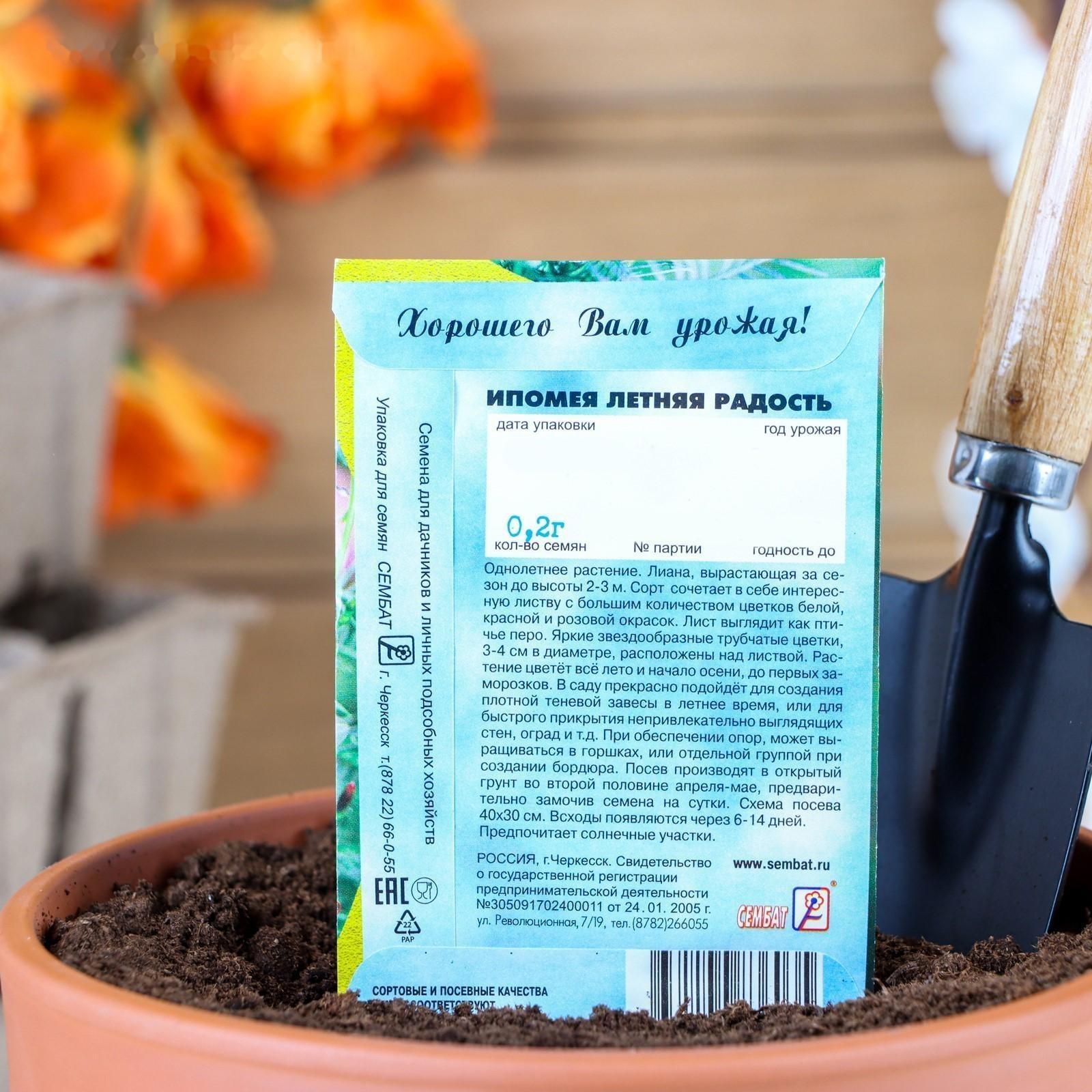 Семена цветов Ипомея 