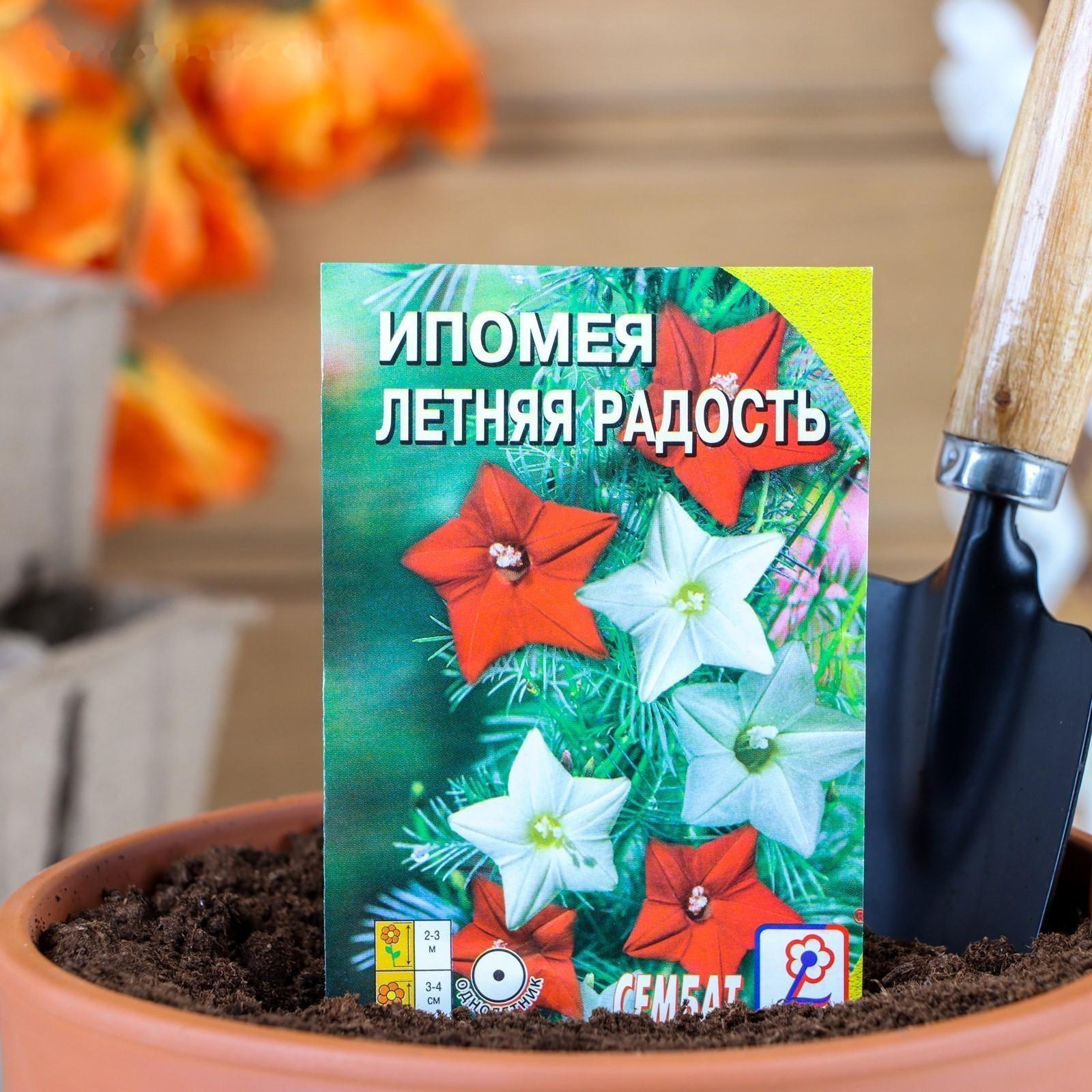 Семена цветов Ипомея 