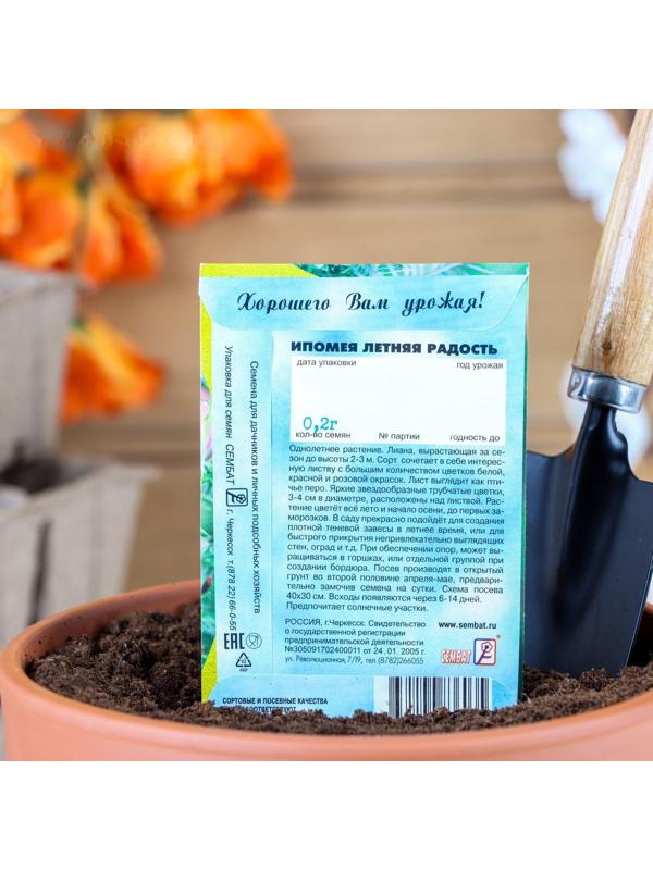 Семена цветов Ипомея 