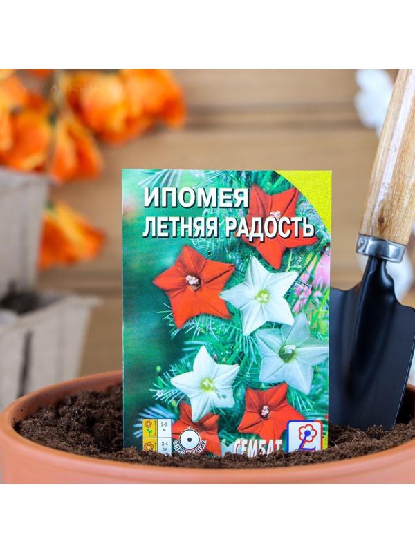 Семена цветов Ипомея 