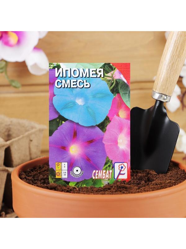 Семена цветов Ипомея Смесь, О, 0,5 г