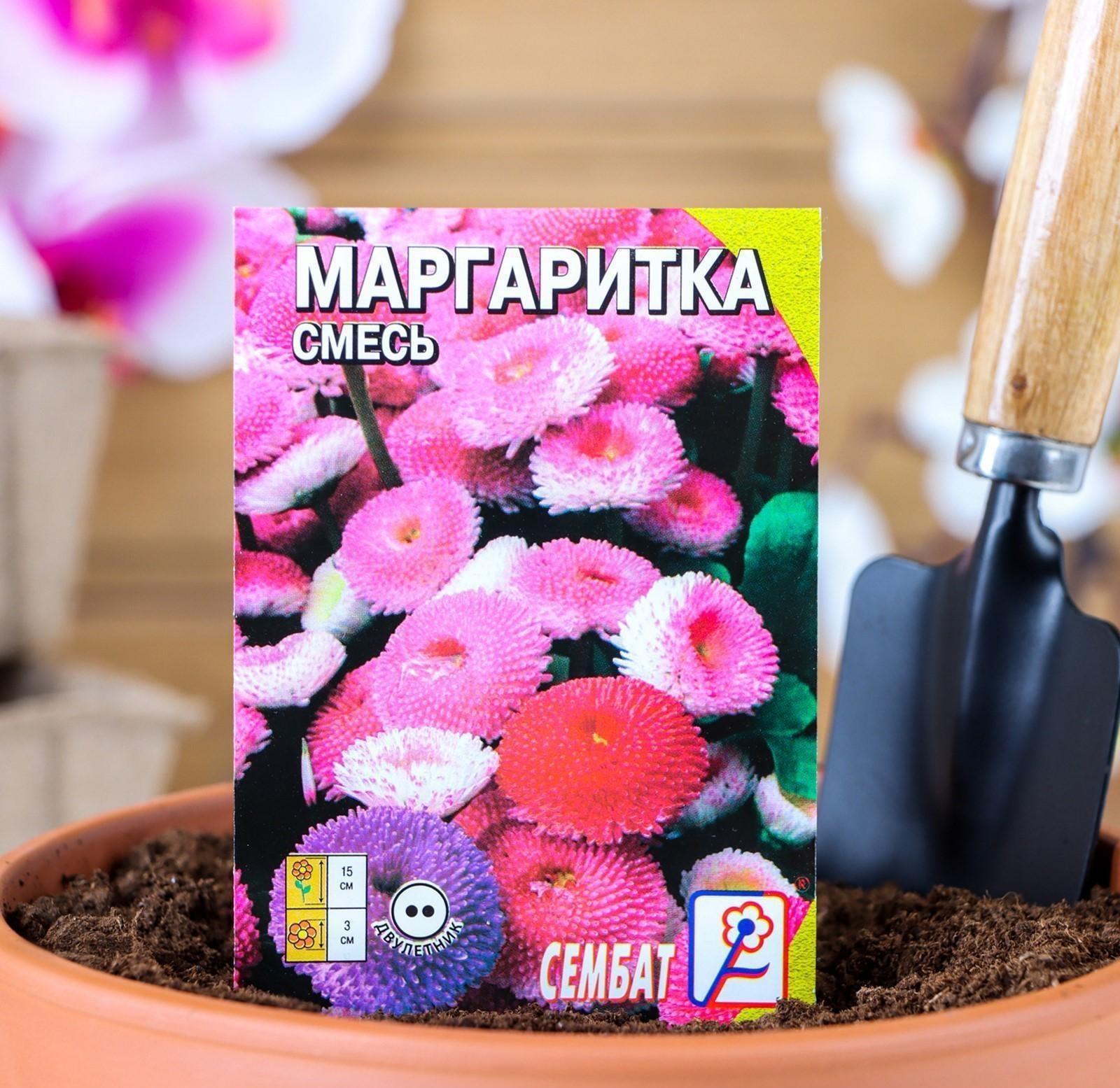 Семена цветов Маргаритка 