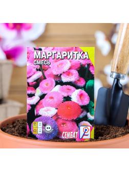 Семена цветов Маргаритка 