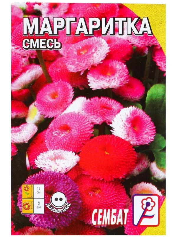 Семена цветов Маргаритка 