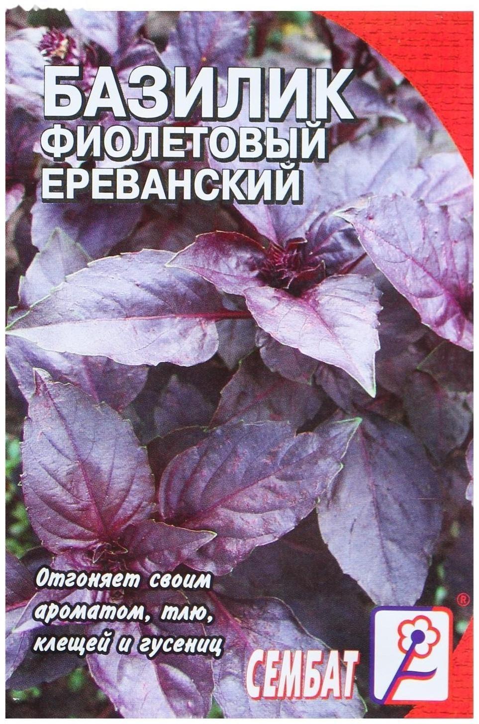 Семена Базилик фиолетовый Ереванский, 0,2 г