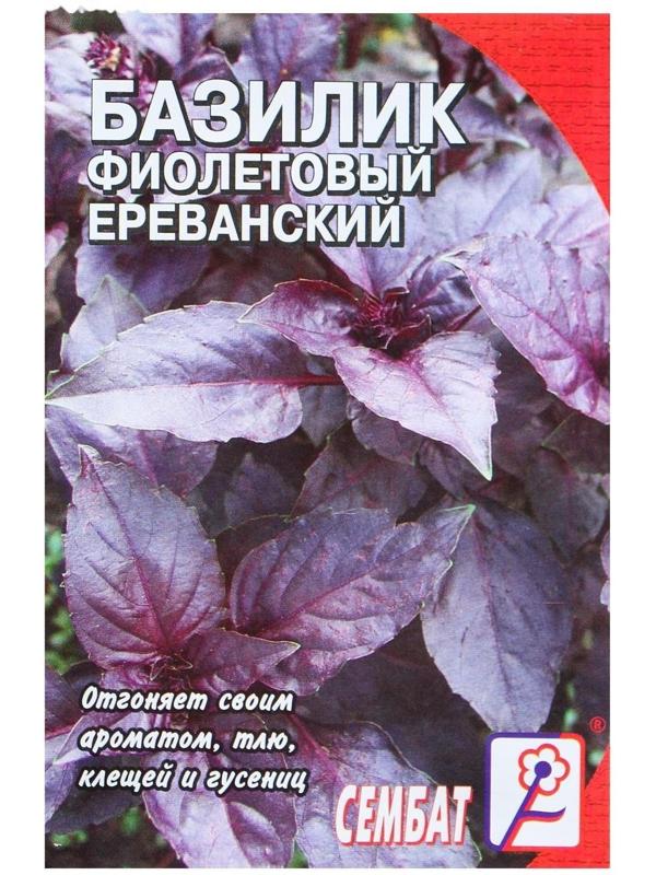 Семена Базилик фиолетовый Ереванский, 0,2 г