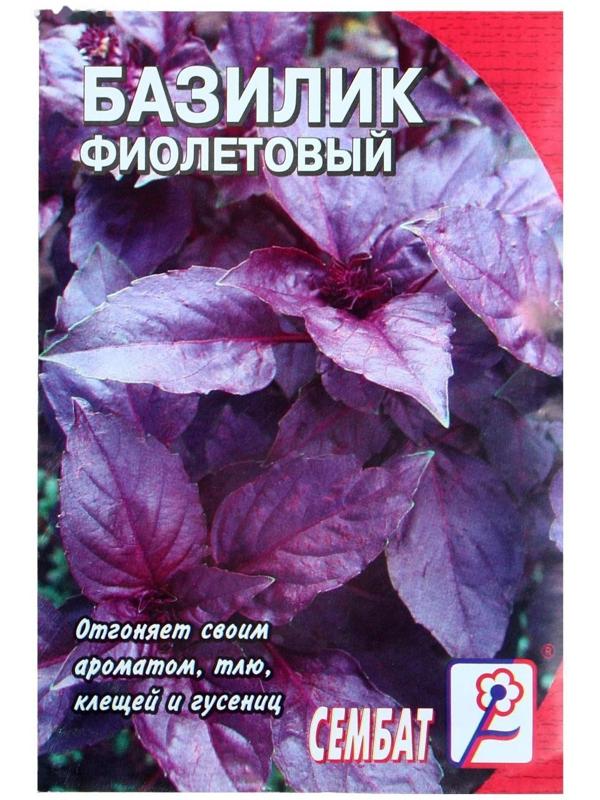 Семена Базилик фиолетовый Ереванский, 0,2 г