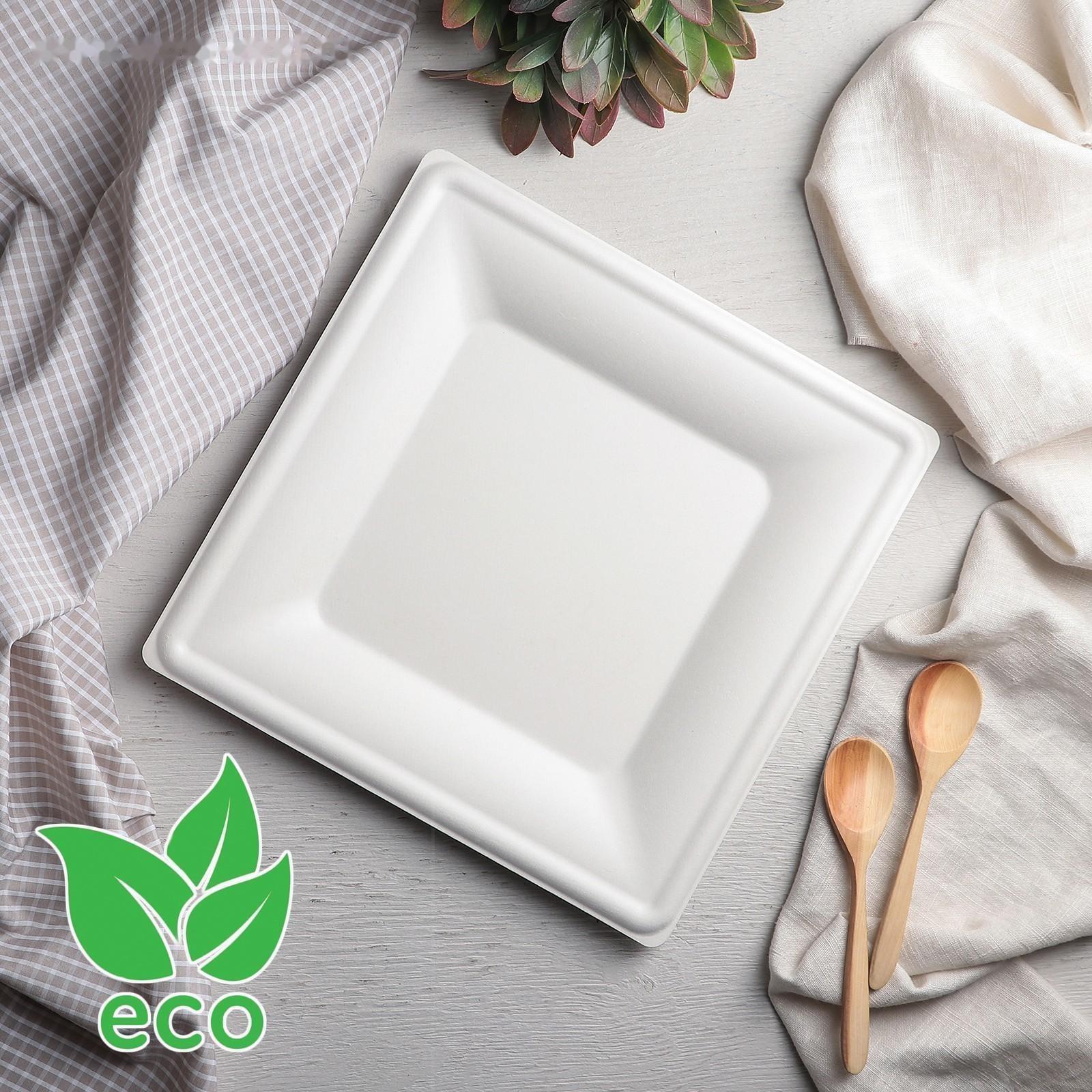 Тарелка одноразовая квадратная ECO, 26×26 см, сахарный тростник, цвет белый