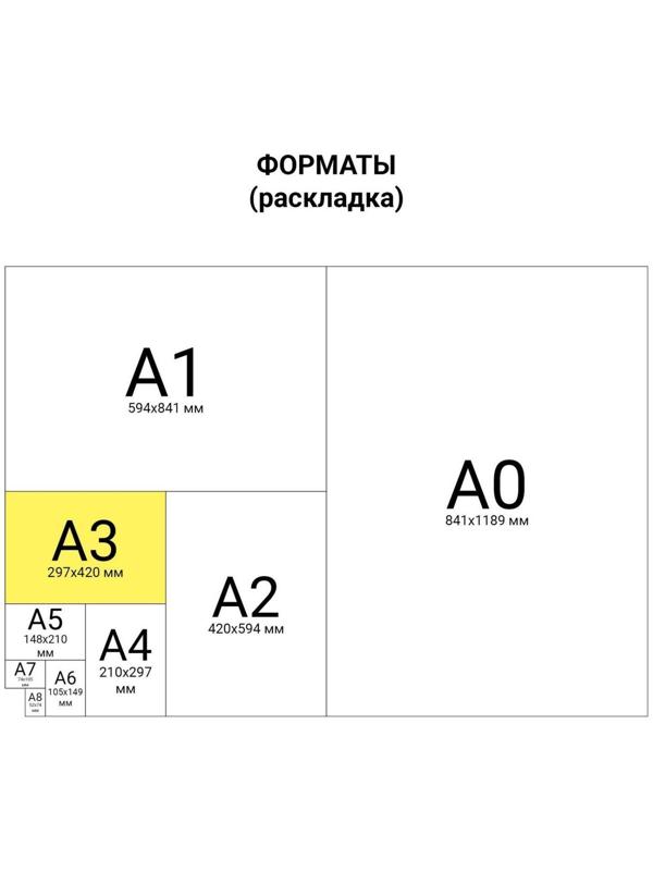 Папка для черчения А3, 24 листа, 200 г/м, BRAUBERG, без рамки, ватман ГОЗНАК КБФ