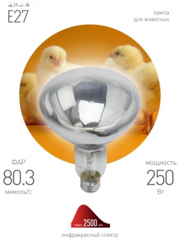 Лампа инфракрасная, 250 Вт, Е 27, 220В, длина волны 1100-1150 нм, белая колба