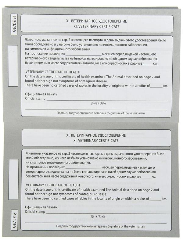 Ветеринарный паспорт международный 