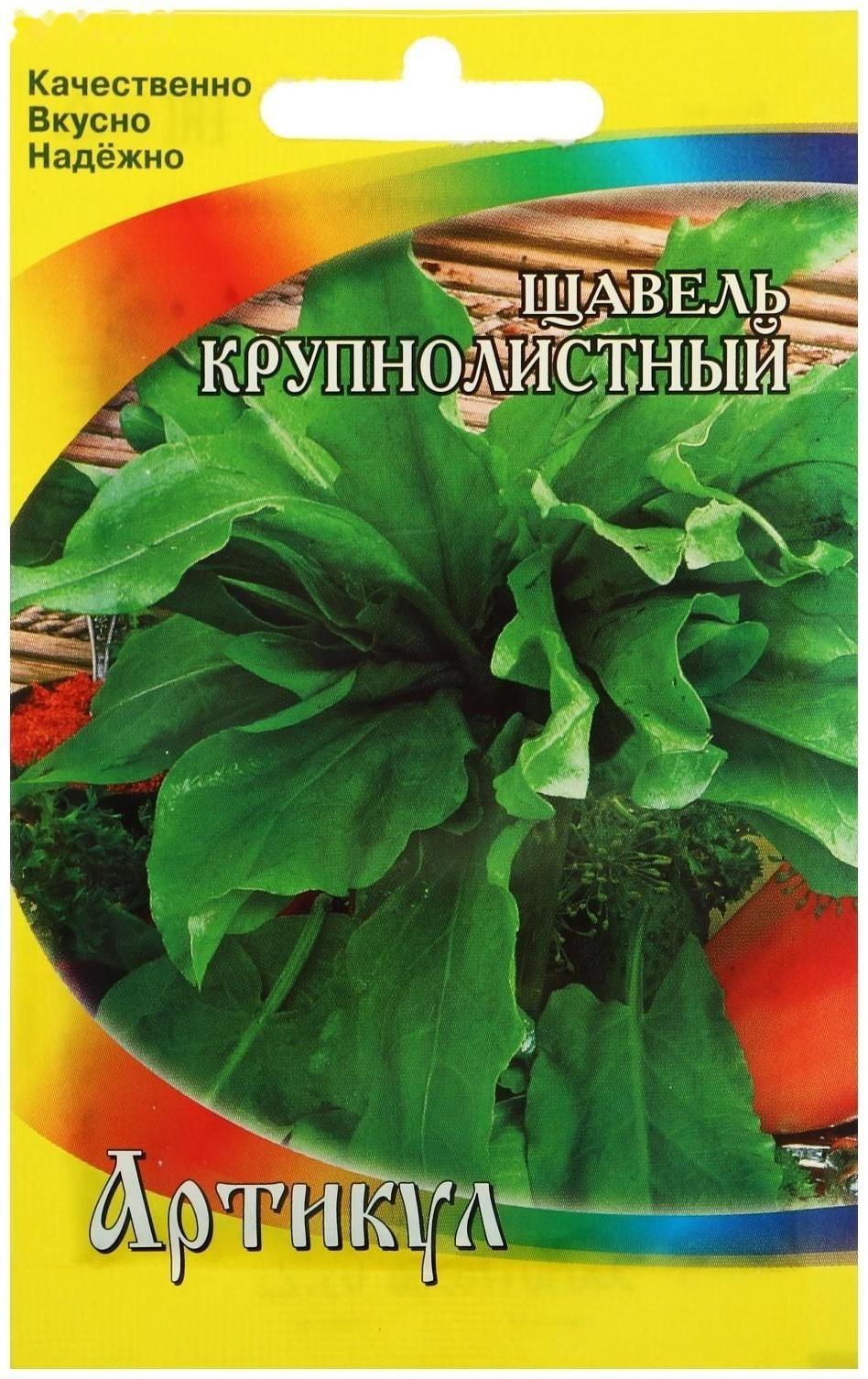 Семена Щавель 