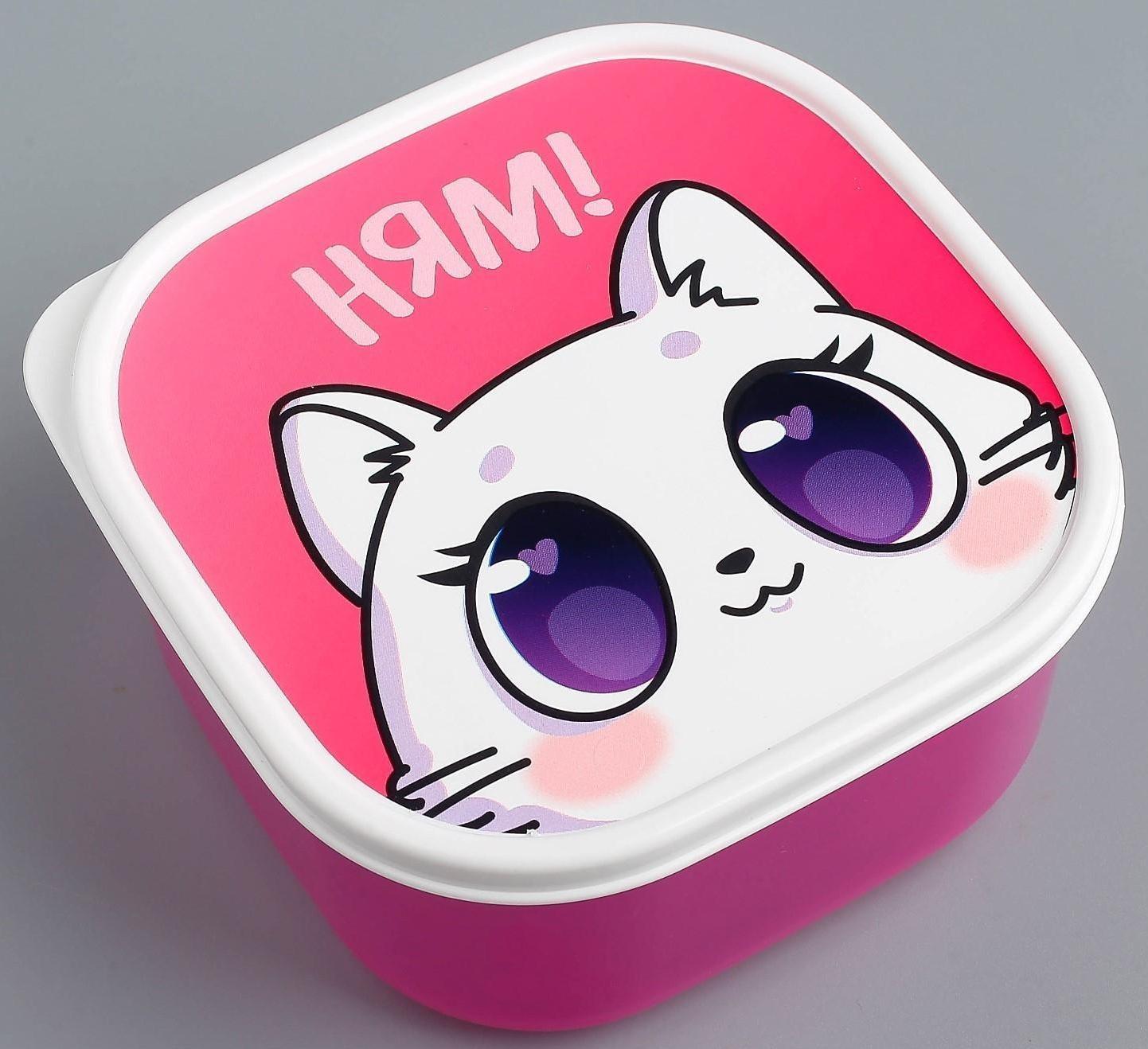 Ланч-бокс «Котик», 700 мл