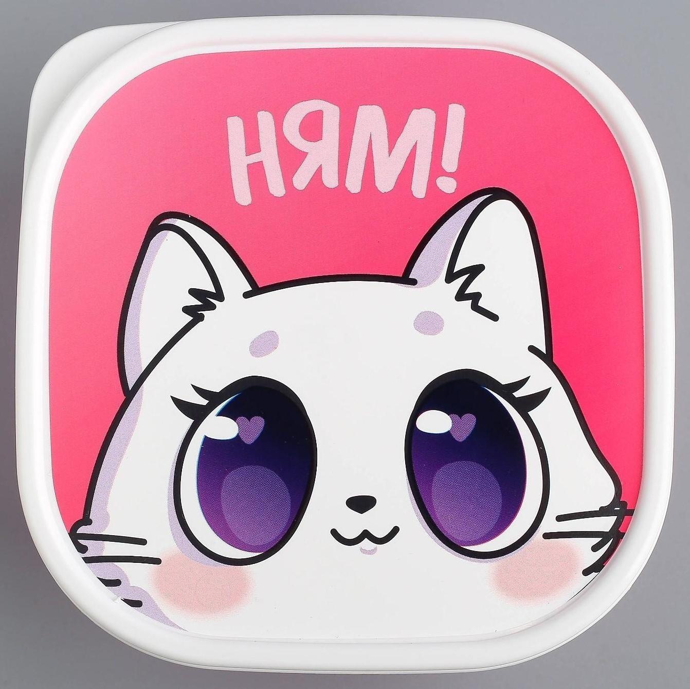 Ланч-бокс «Котик», 700 мл