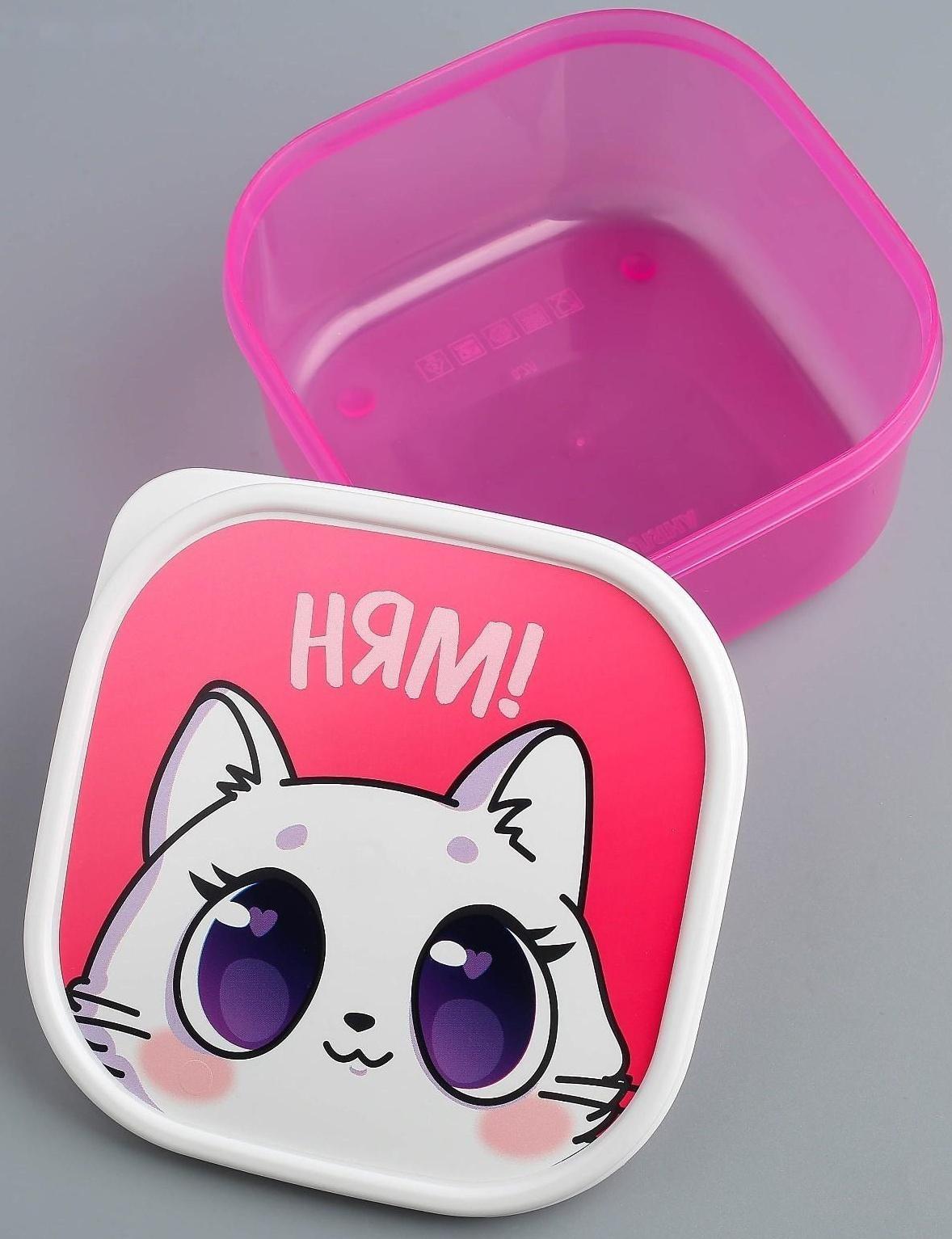 Ланч-бокс «Котик», 700 мл