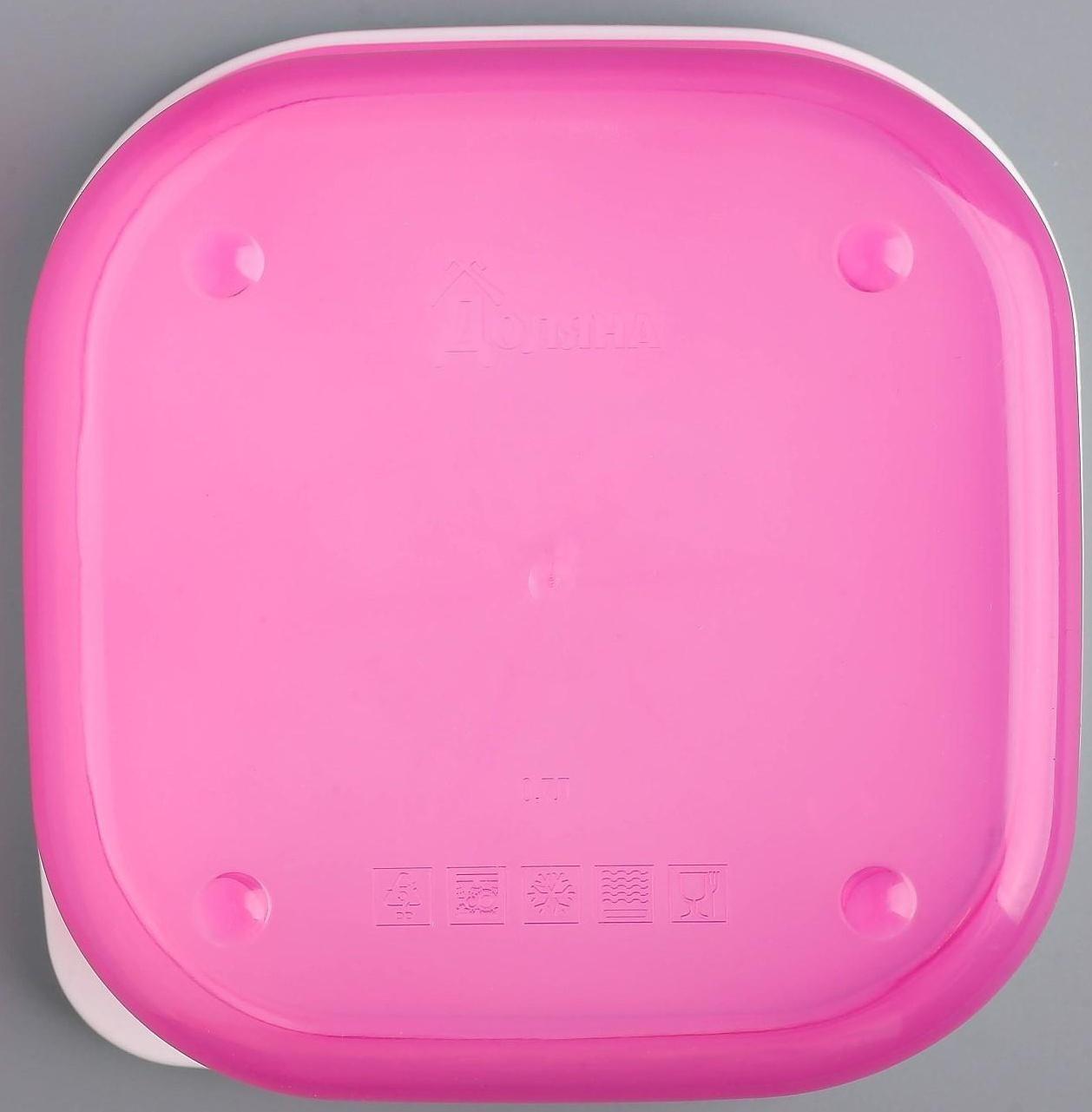 Ланч-бокс «Котик», 700 мл