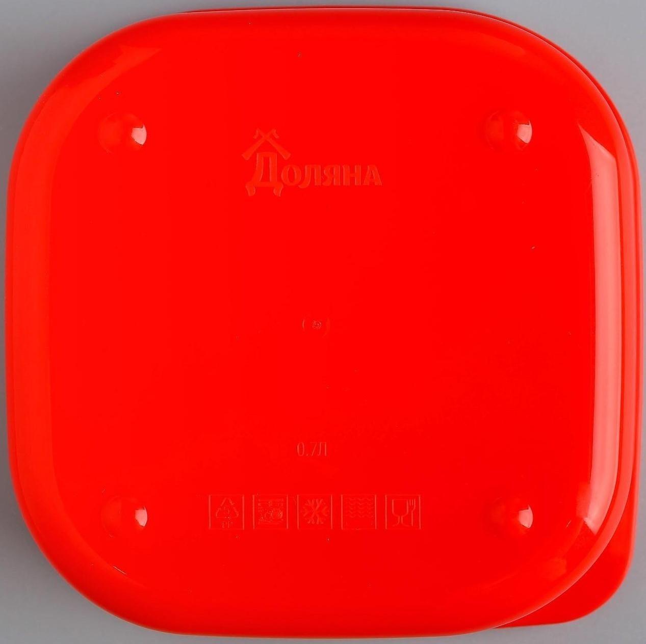 Ланч-бокс «Заряд энергии», 700 мл